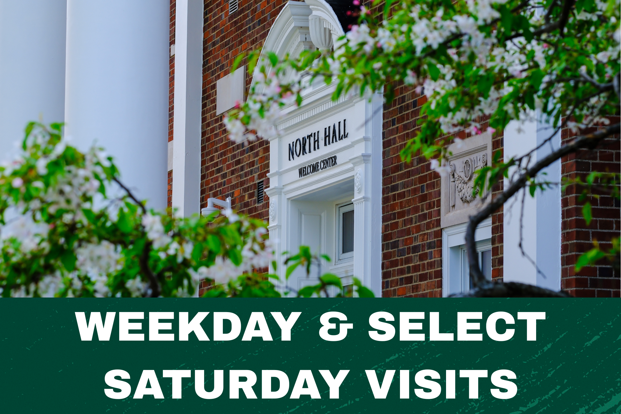 Weekday & Select Saturday Visits